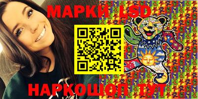 молекула духа Кингисепп