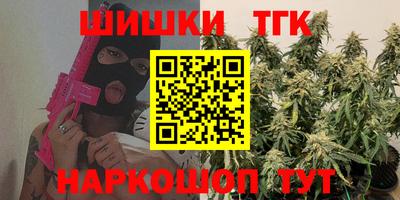 молекула духа Кингисепп