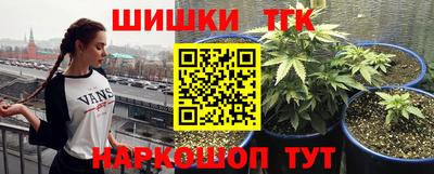 молекула духа Кингисепп