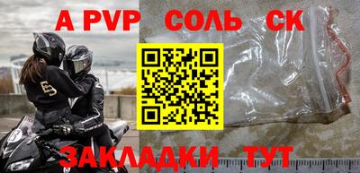 молекула духа Кингисепп